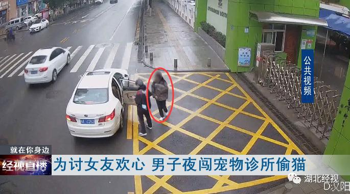 圖片